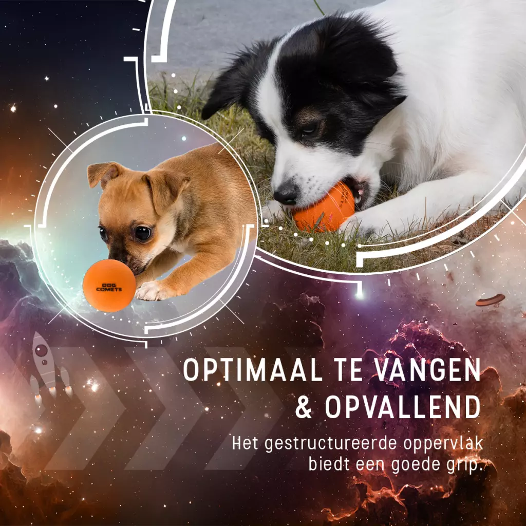 Afbeelding Dog Comets Ball Stardust Oranje M (2-Pack)