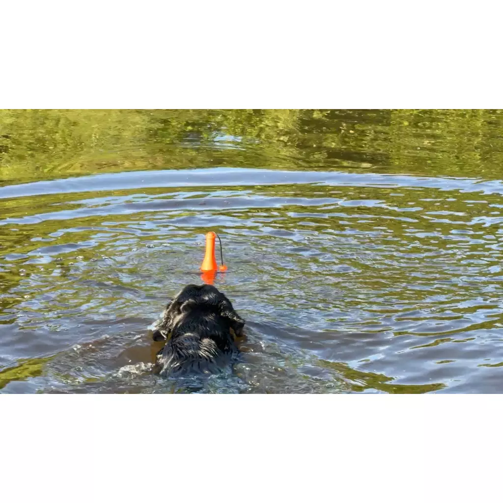 Afbeelding Dog Comets Bobber Oranje