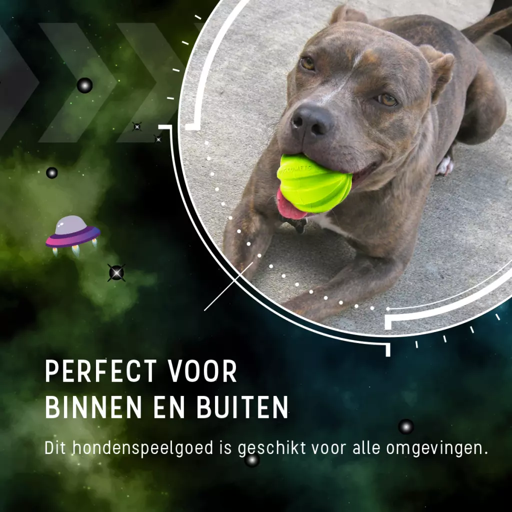 Afbeelding Dog Comets Hale Bopp Groen