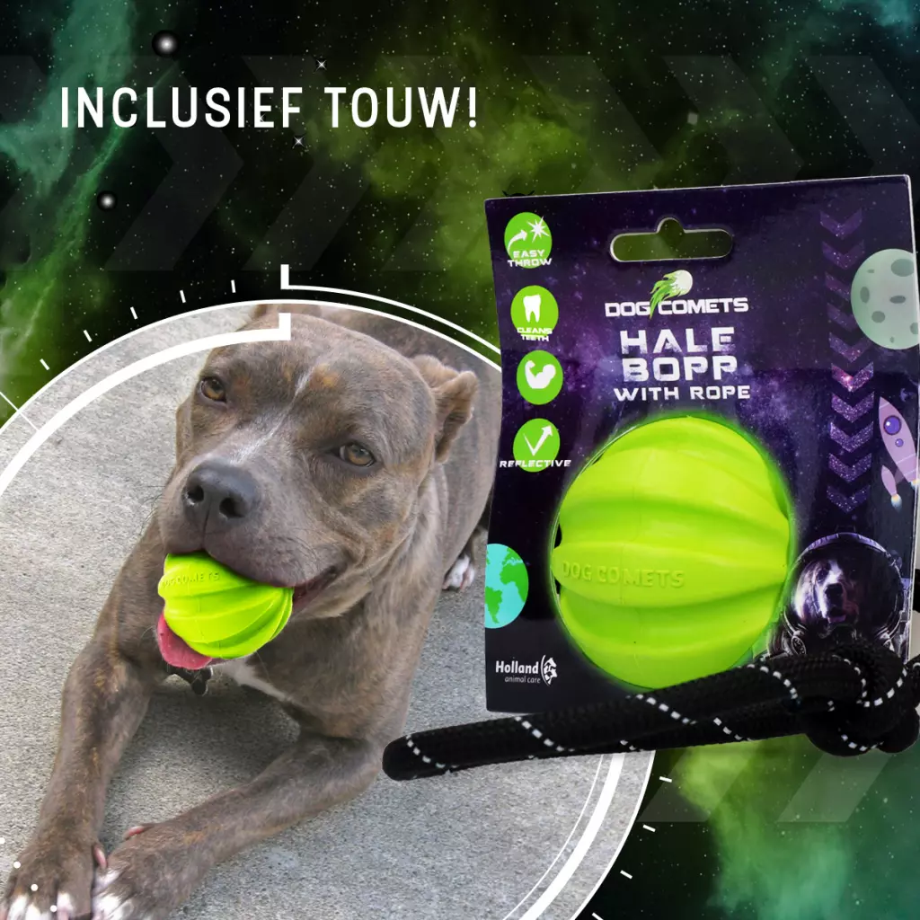 Afbeelding Dog Comets Hale Bopp Met Touw Groen