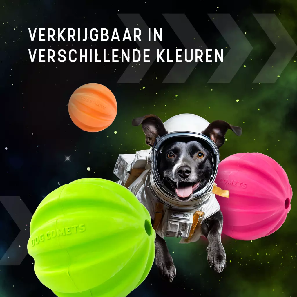 Afbeelding Dog Comets Hale Bopp Met Touw Groen
