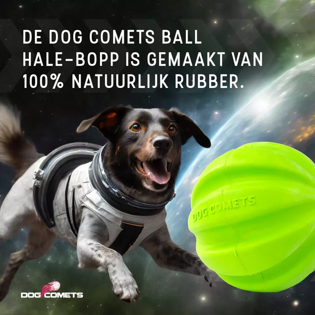 Afbeelding Dog Comets Hale Bopp Met Touw Groen