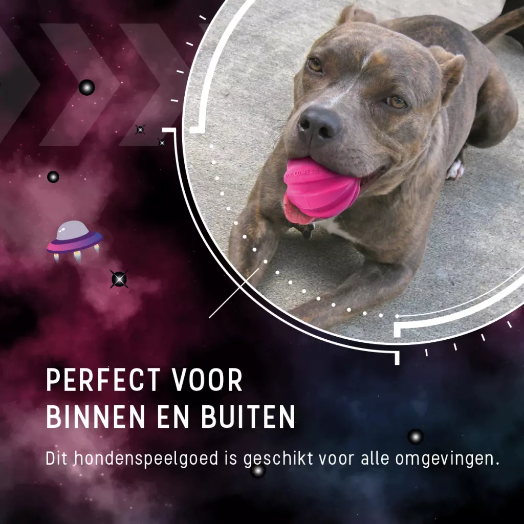 Afbeelding Dog Comets Halley Met Touw Roze