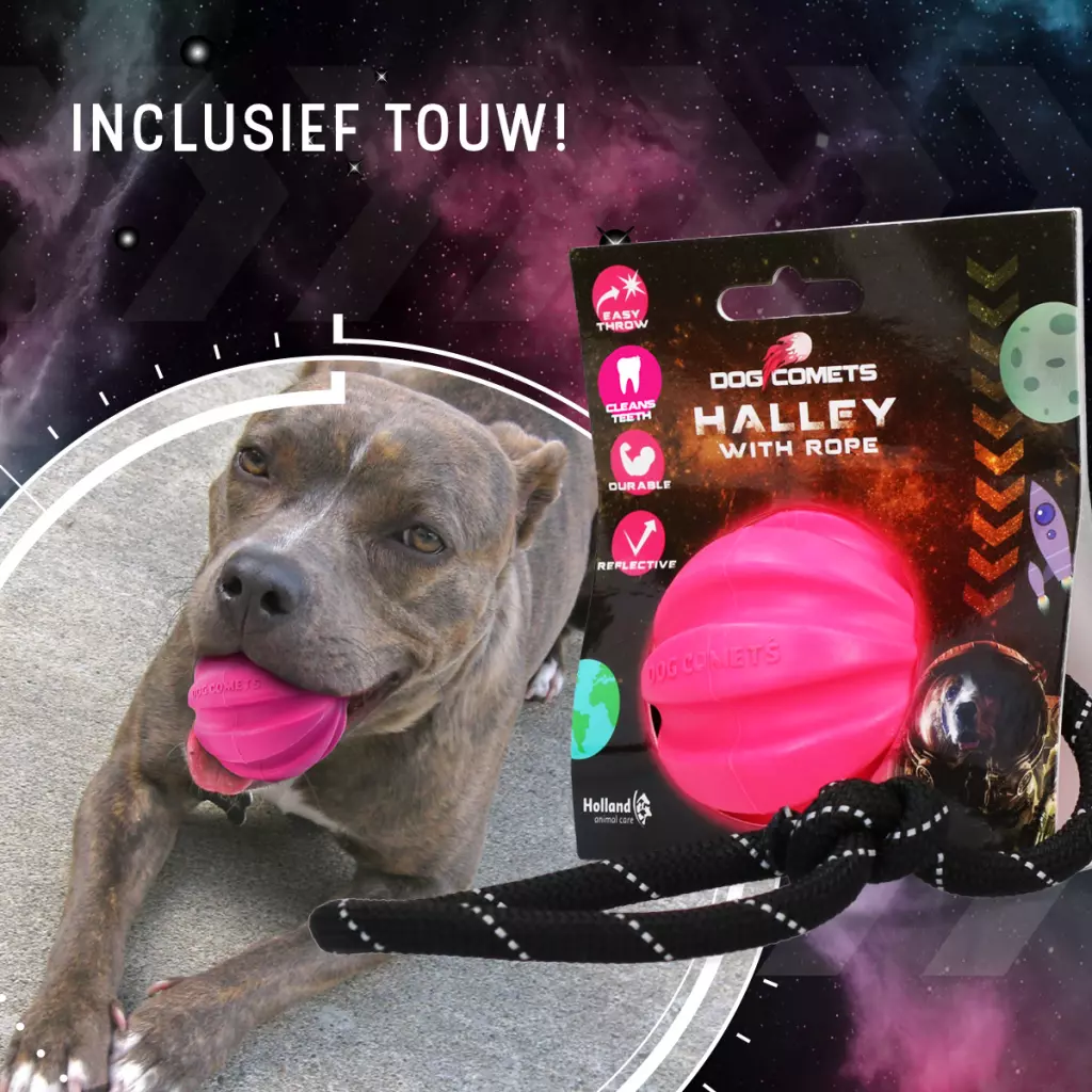Afbeelding Dog Comets Halley Met Touw Roze