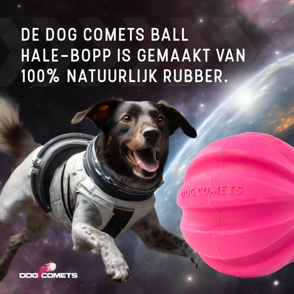 Afbeelding Dog Comets Halley Roze