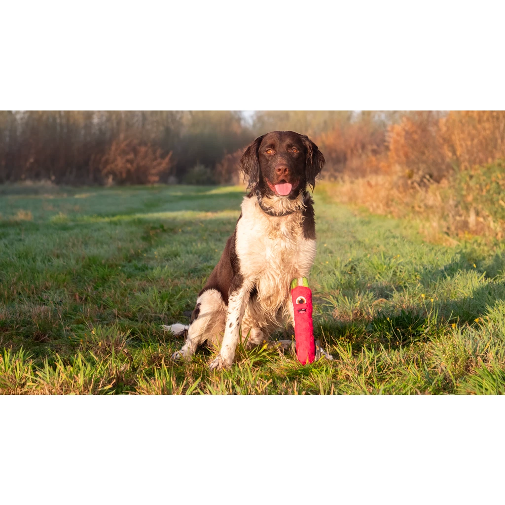 Afbeelding Dog Comets Invaders Roze