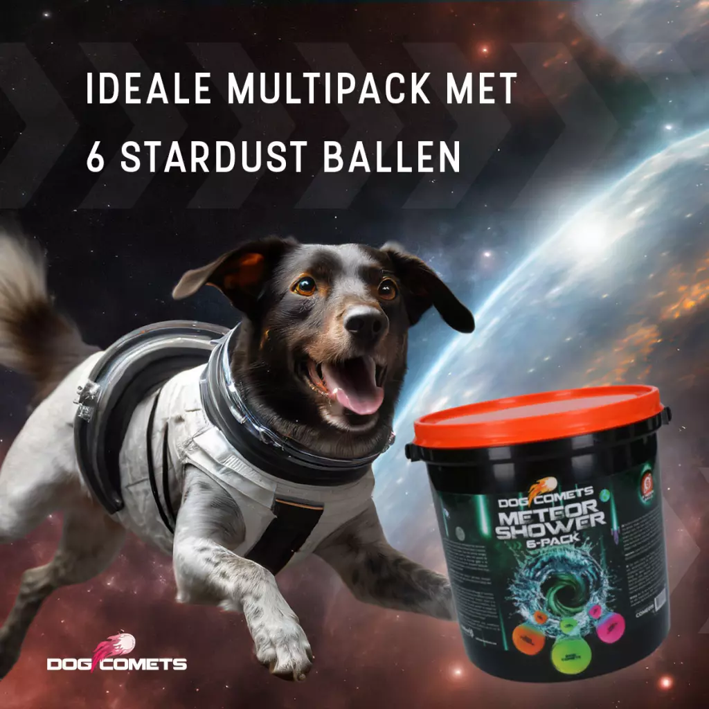 Afbeelding Dog Comets Meteor Shower