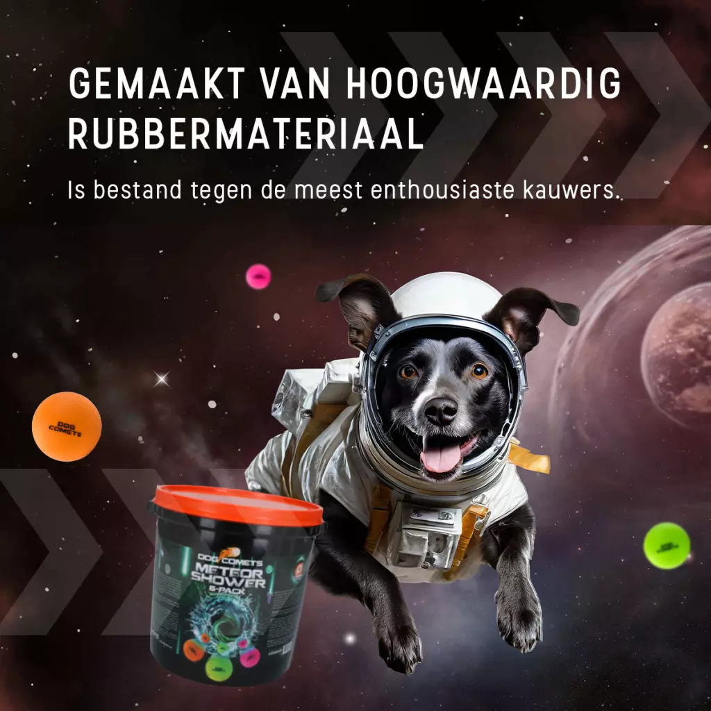 Afbeelding Dog Comets Meteor Shower