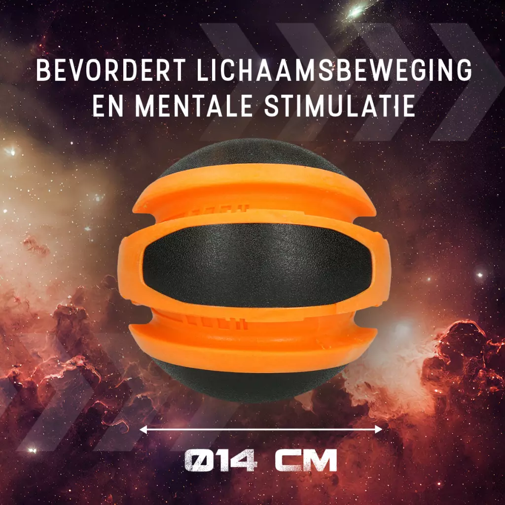 Afbeelding Dog Comets Planets Sun Oranje