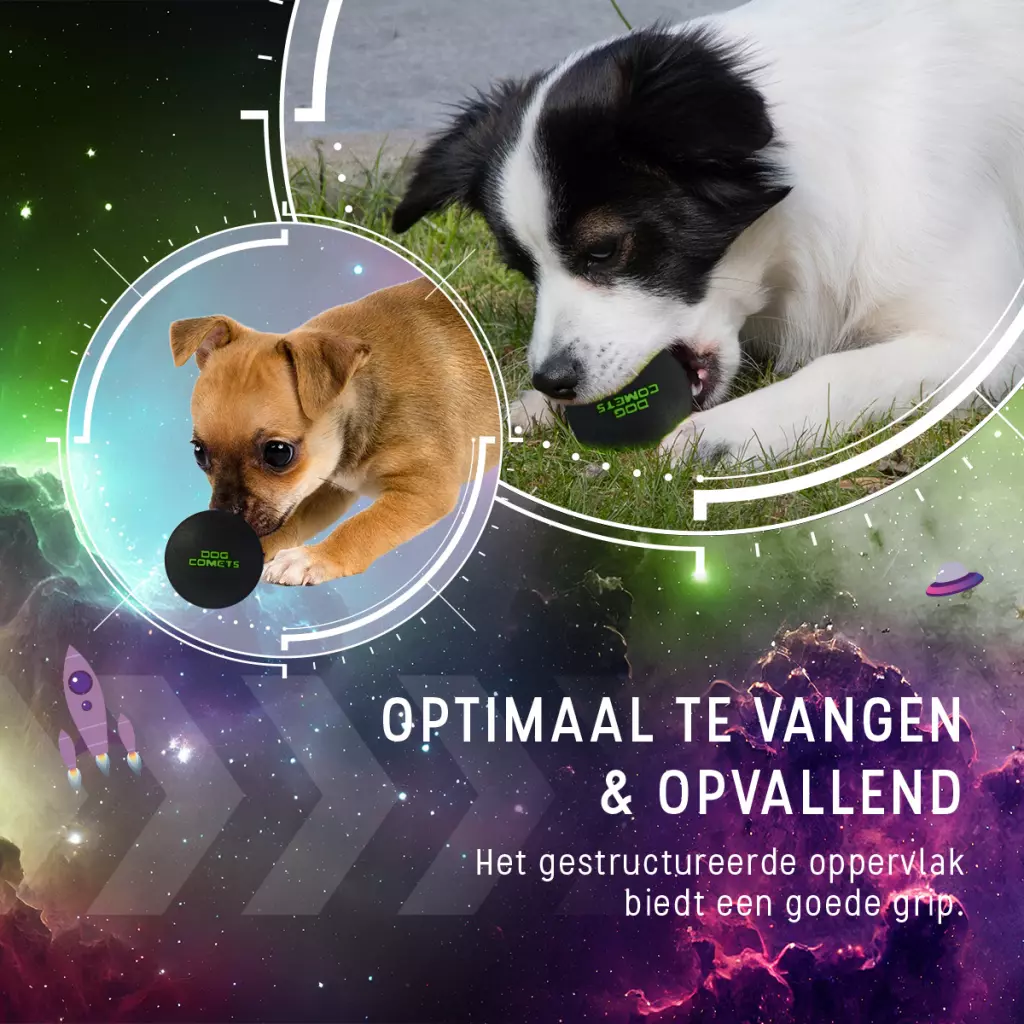 Afbeelding Dog Comets Ball Stardust Groen