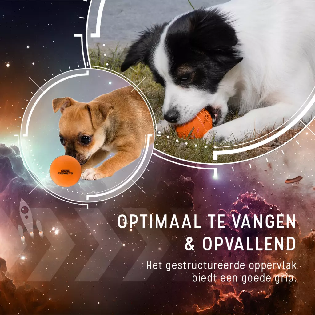 Afbeelding Dog Comets Ball Stardust Oranje