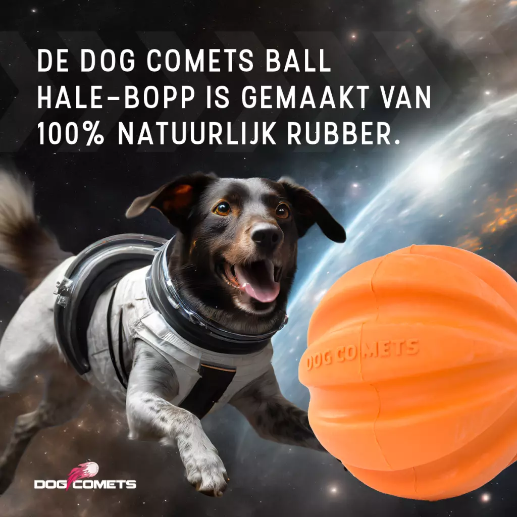 Afbeelding Dog Comets Swift Tuttle Oranje
