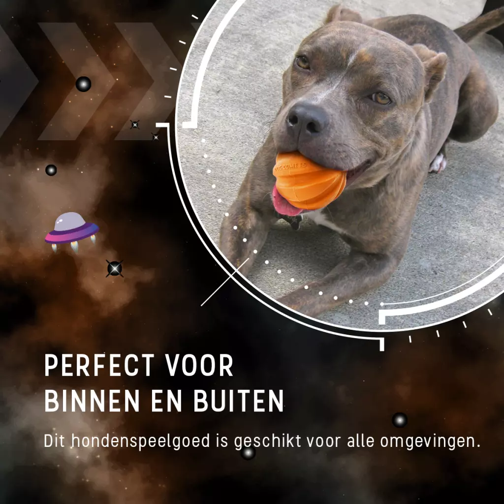 Afbeelding Dog Comets Swift Tuttle Met Touw Oranje