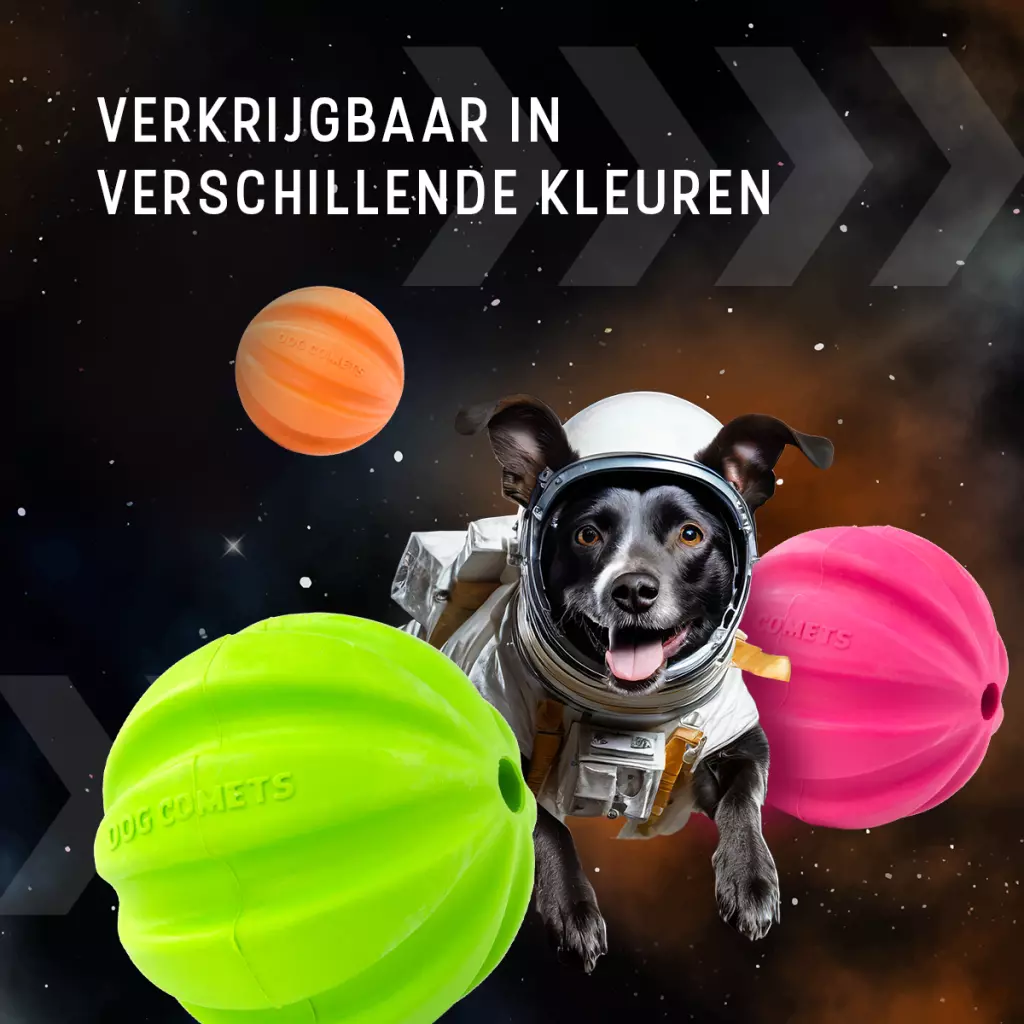 Afbeelding Dog Comets Swift Tuttle Met Touw Oranje