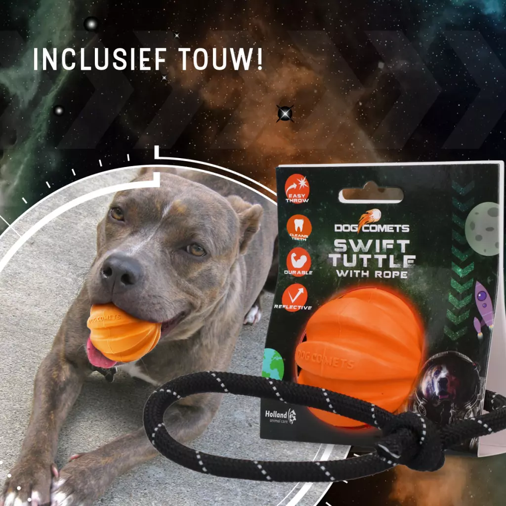 Afbeelding Dog Comets Swift Tuttle Met Touw Oranje