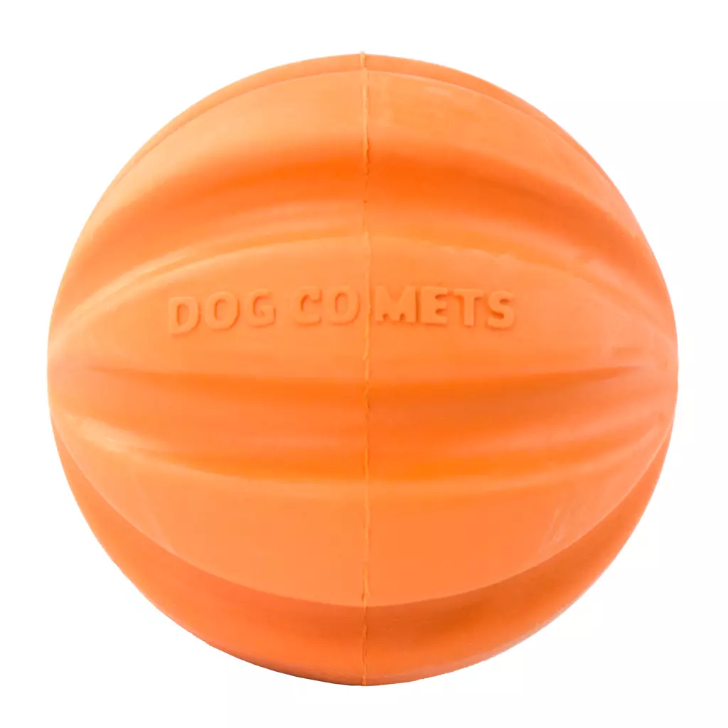 Afbeelding Dog Comets Swift Tuttle Oranje