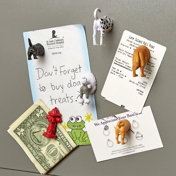Afbeelding Kikkerland – Dog Butt Magnets 6 stuks