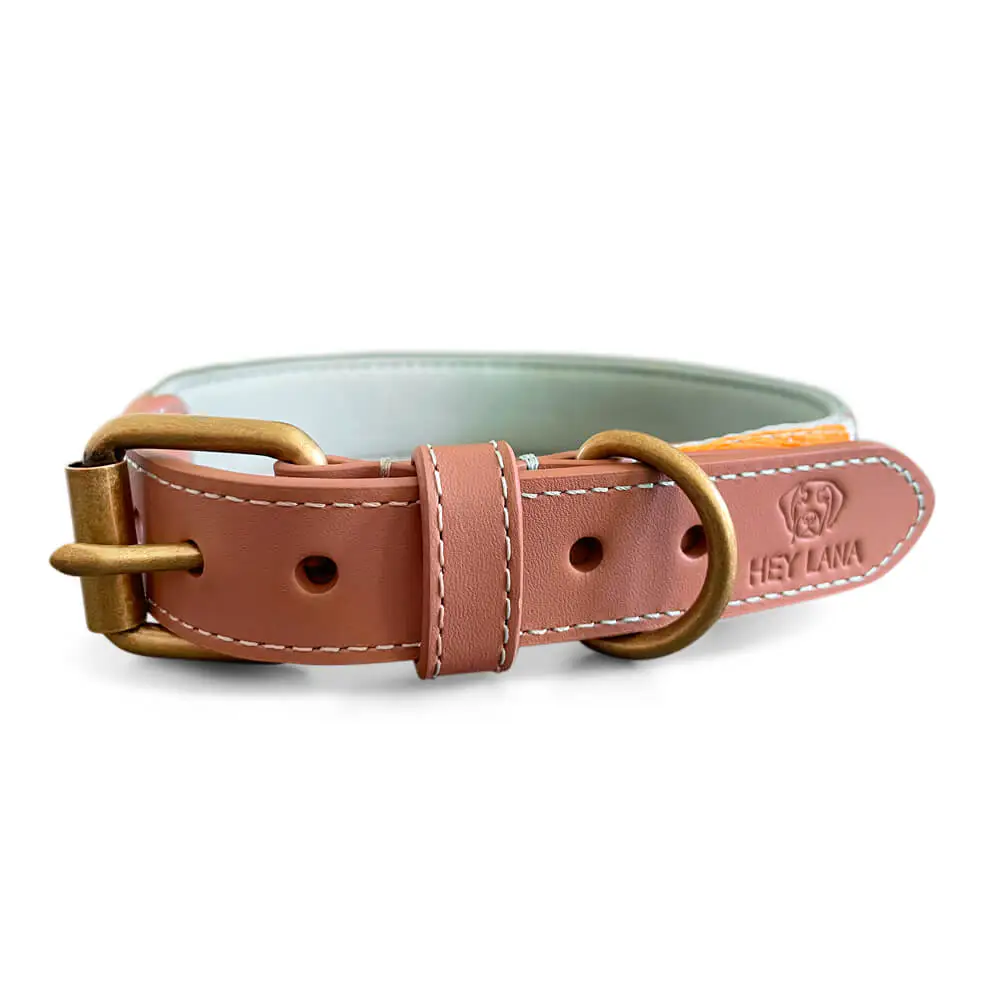 Afbeelding Hey Lana Premium Hondenhalsband – Muntgroen/Oranje