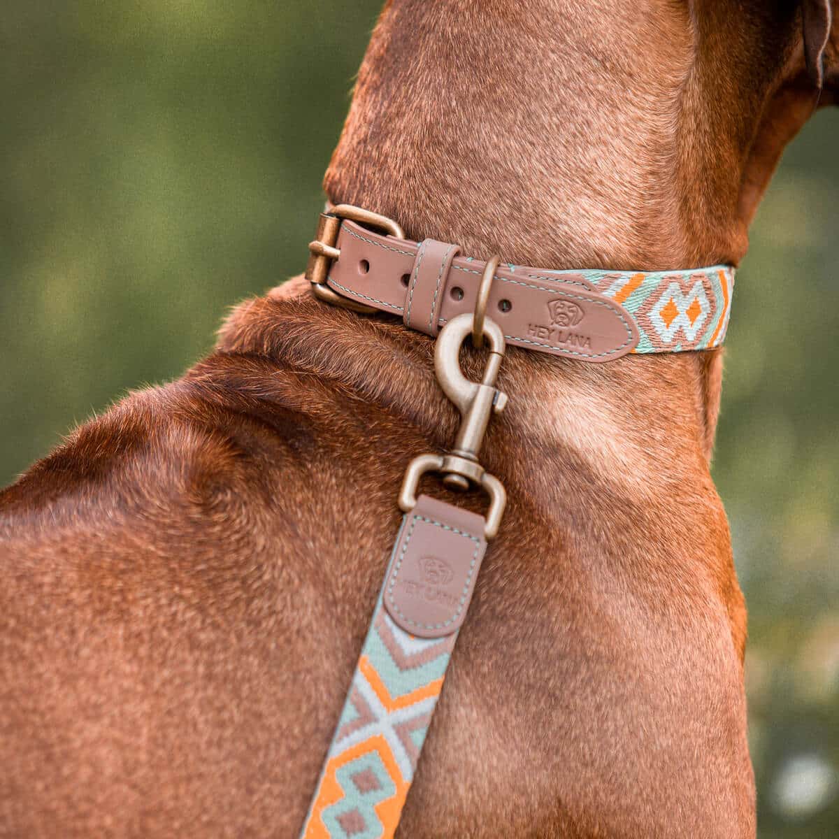 Afbeelding Hey Lana Premium Hondenhalsband – Muntgroen/Oranje