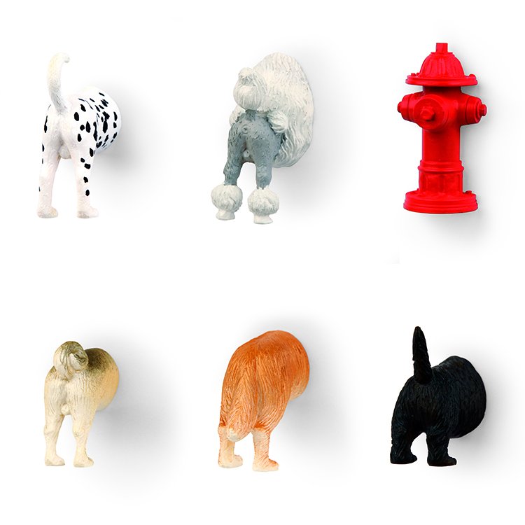 Afbeelding Kikkerland – Dog Butt Magnets 6 stuks