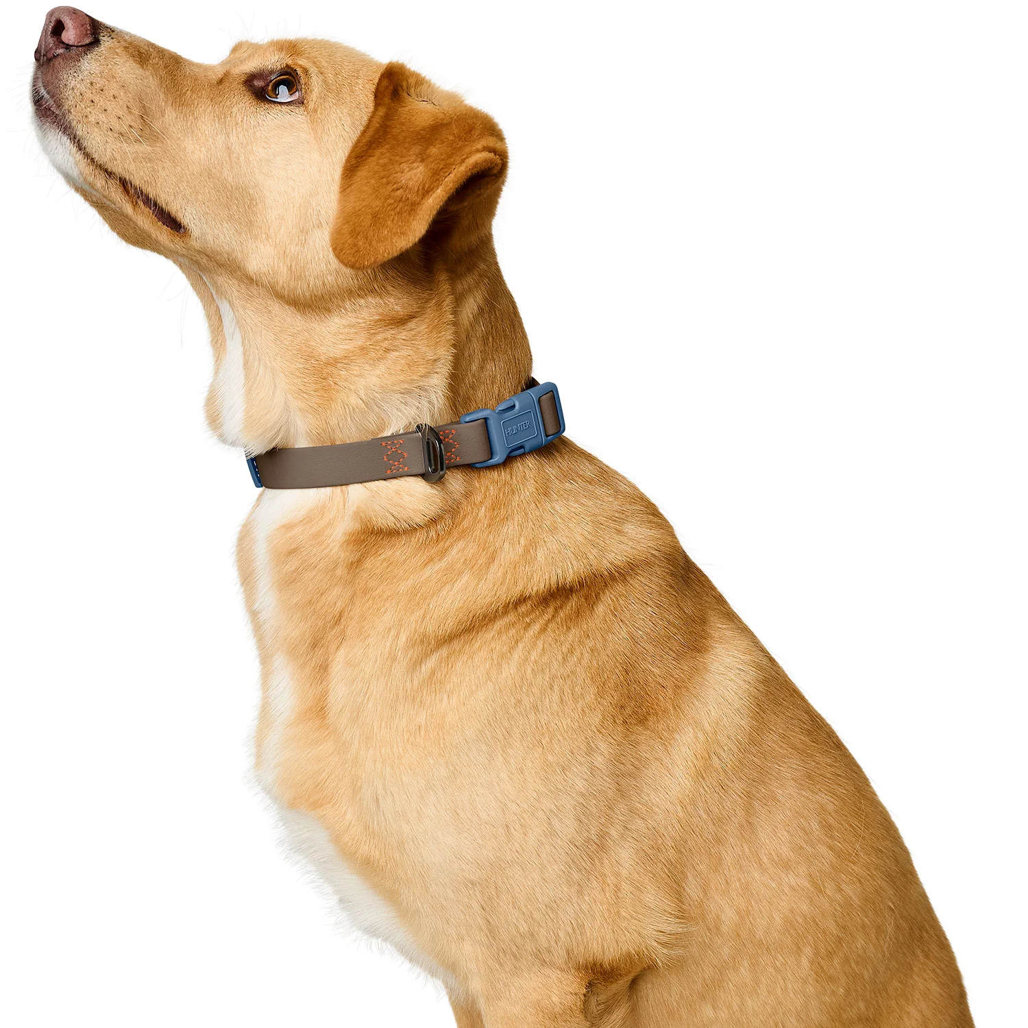 Afbeelding Hunter Collar Havanna Basic – Taupe/Smoky Blue
