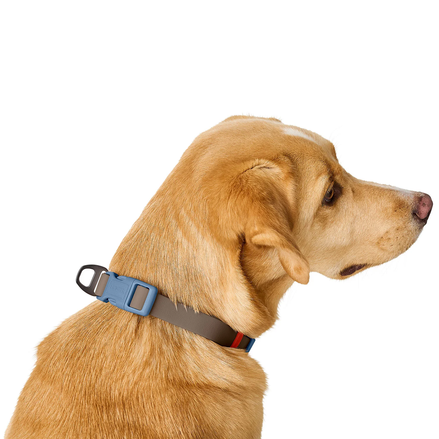 Afbeelding Hunter Collar Havanna Basic – Taupe/Smoky Blue
