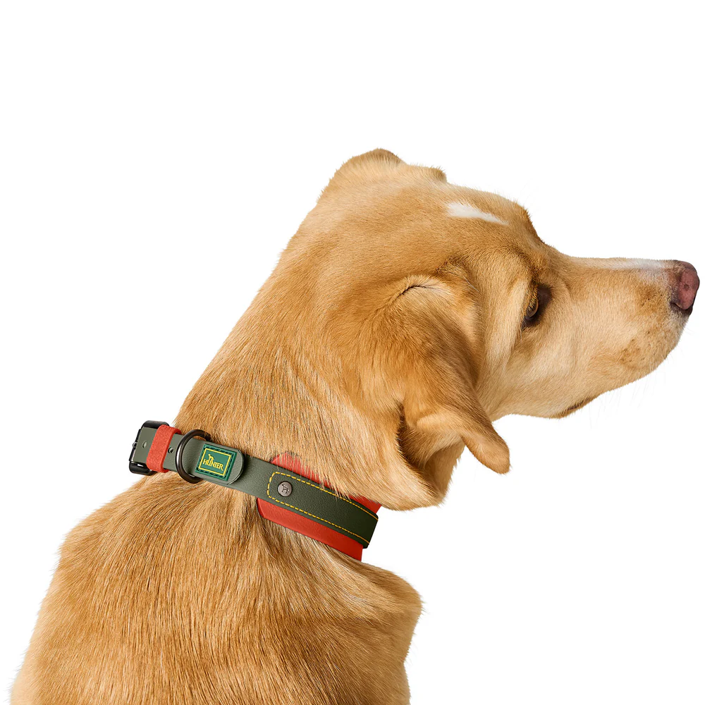 Afbeelding Hunter Collar Havanna Comfort – Green/Orange