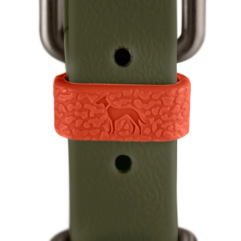 Afbeelding Hunter Collar Havanna Comfort – Green/Orange
