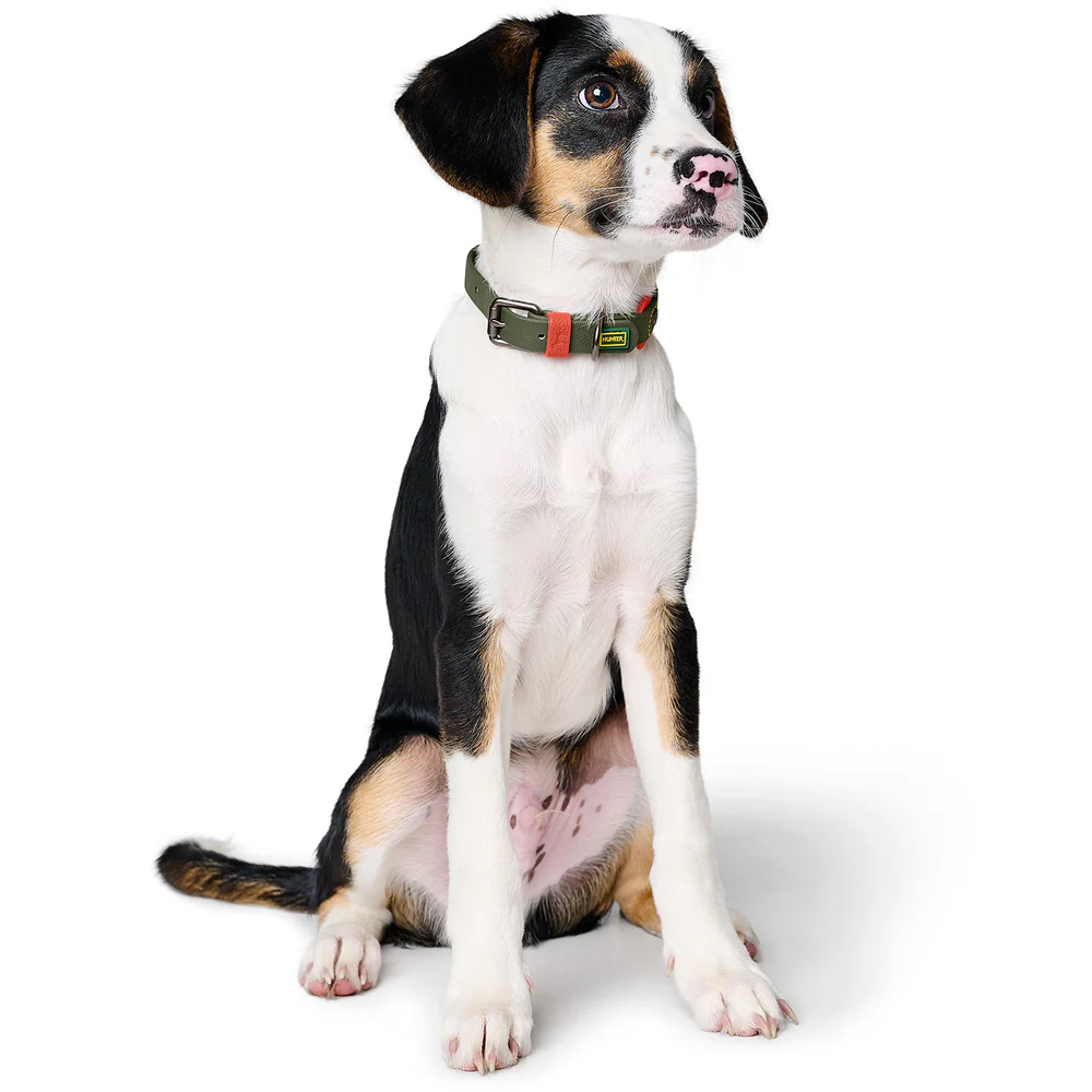 Afbeelding Hunter Collar Havanna Comfort – Green/Orange