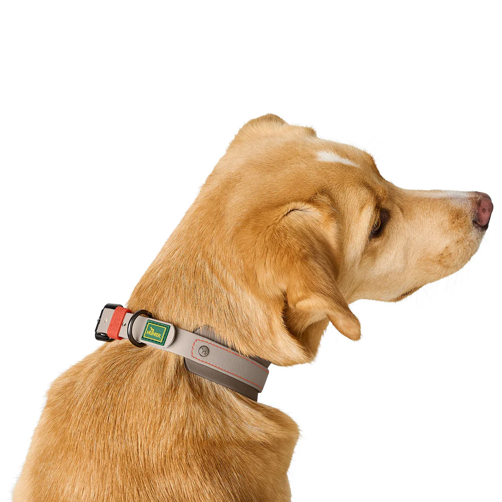 Afbeelding Hunter Collar Havanna Comfort – Greige