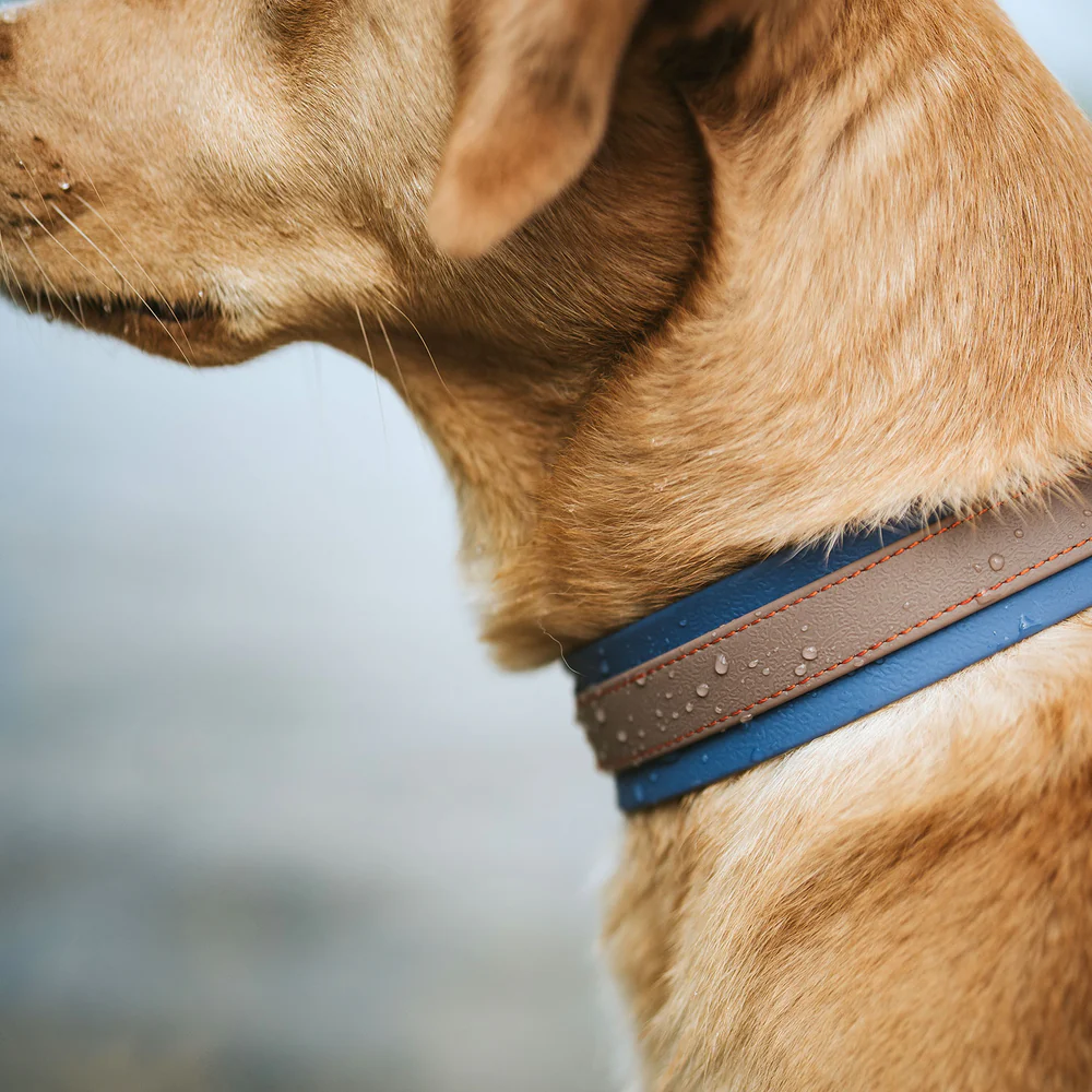 Afbeelding Hunter Collar Havanna Comfort – Taupe/Smoky Blue