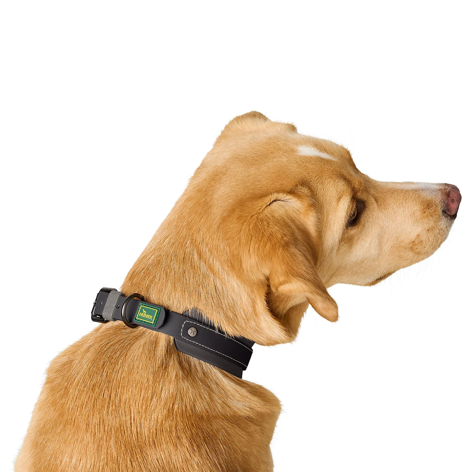 Afbeelding Hunter Collar Havanna Comfort – Black