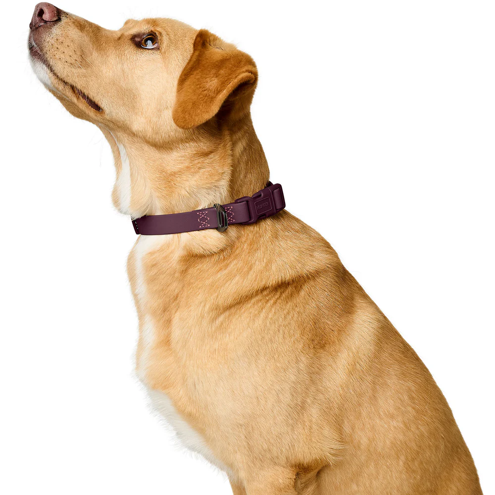 Afbeelding Hunter Collar Havanna Basic – Blackberry