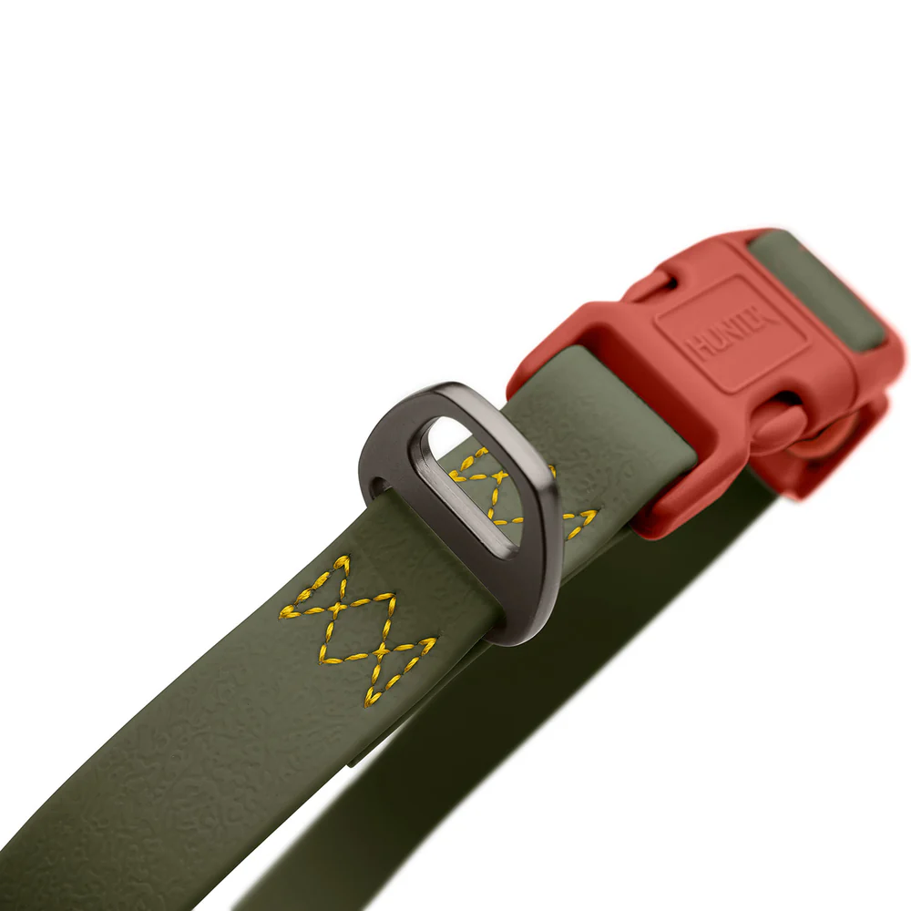 Afbeelding Hunter Collar Havanna Basic – Green/Orange