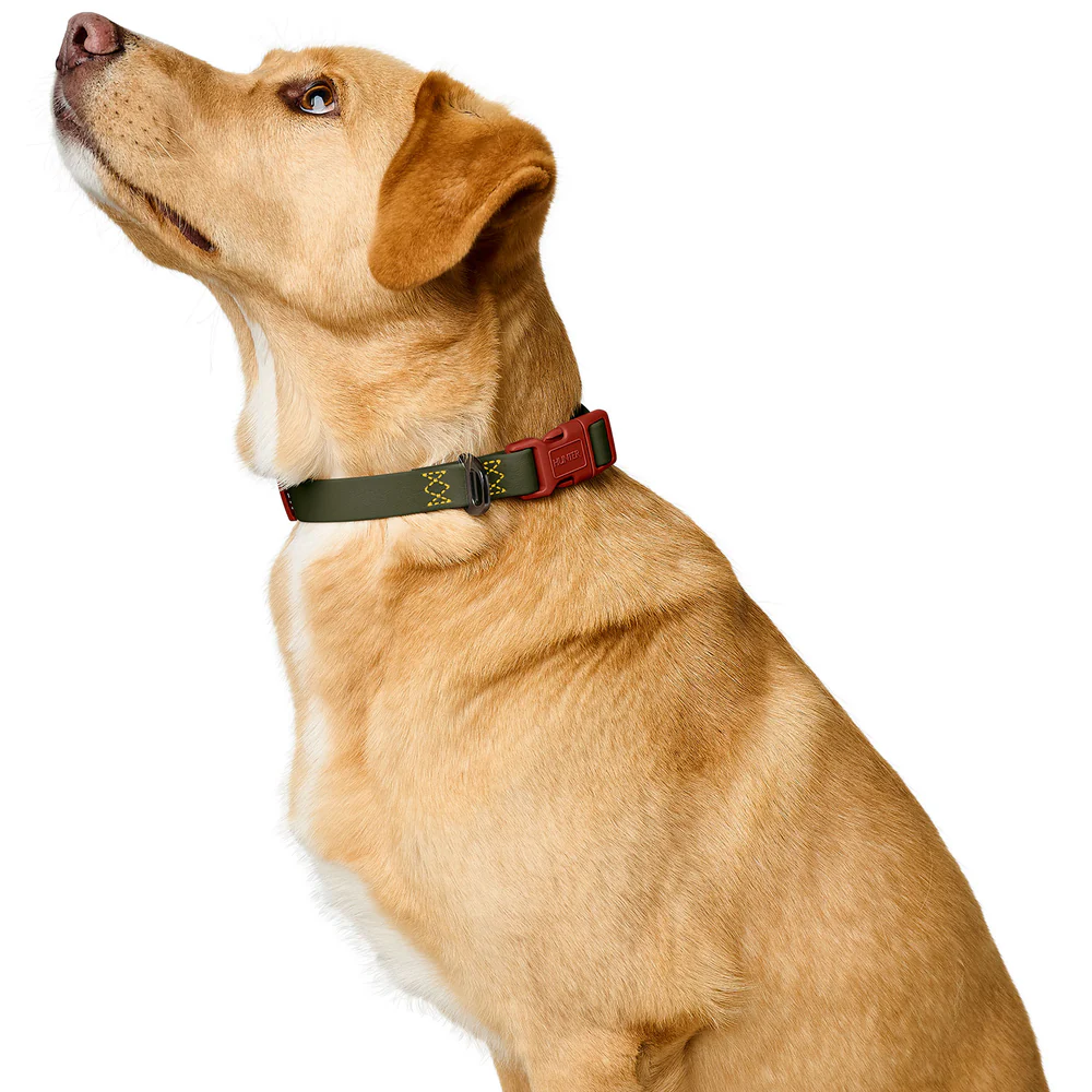 Afbeelding Hunter Collar Havanna Basic – Green/Orange