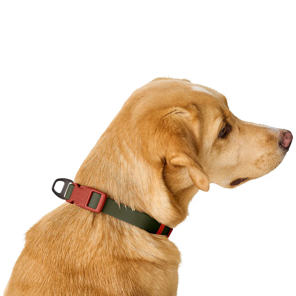 Afbeelding Hunter Collar Havanna Basic – Green/Orange