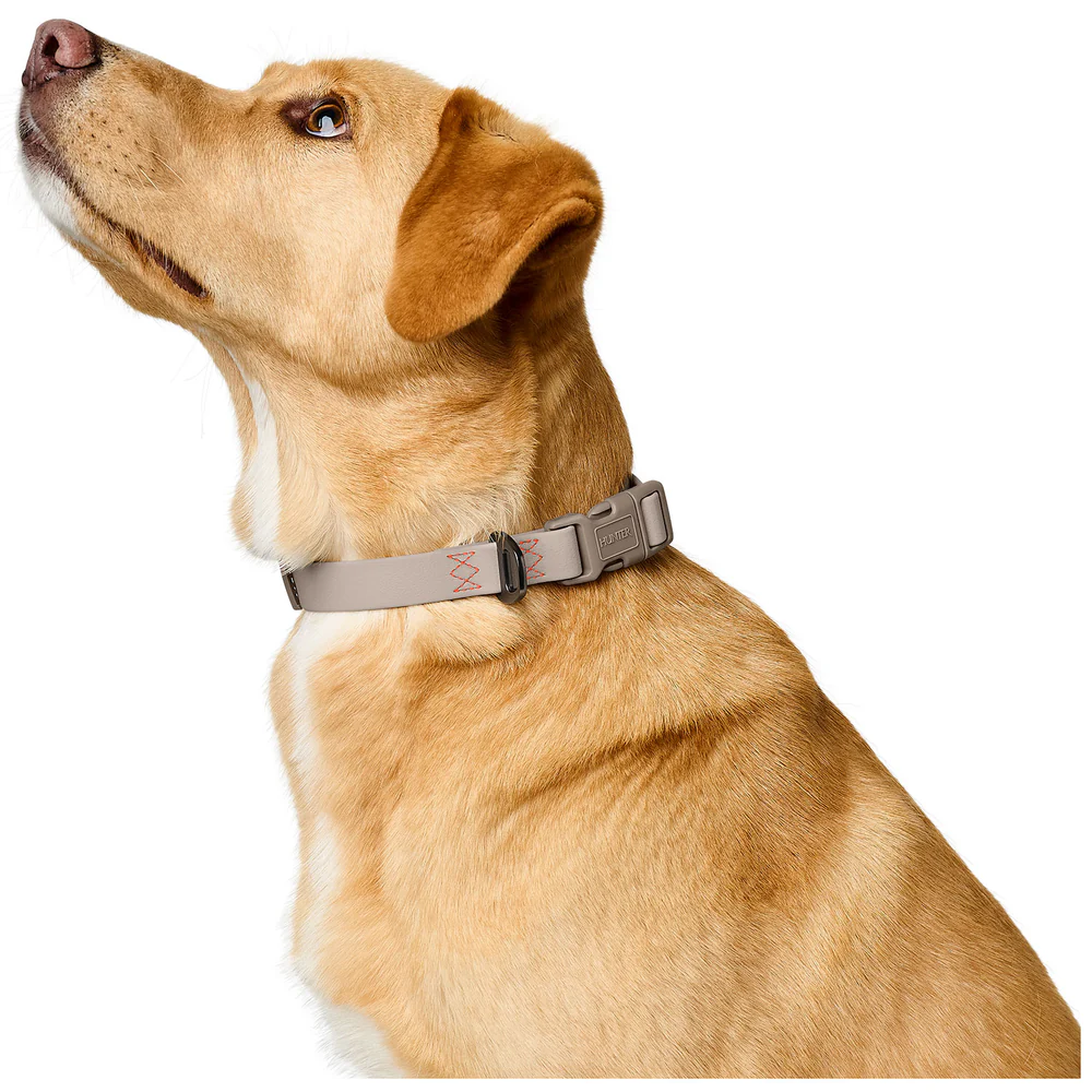 Afbeelding Hunter Collar Havanna Basic – Greige