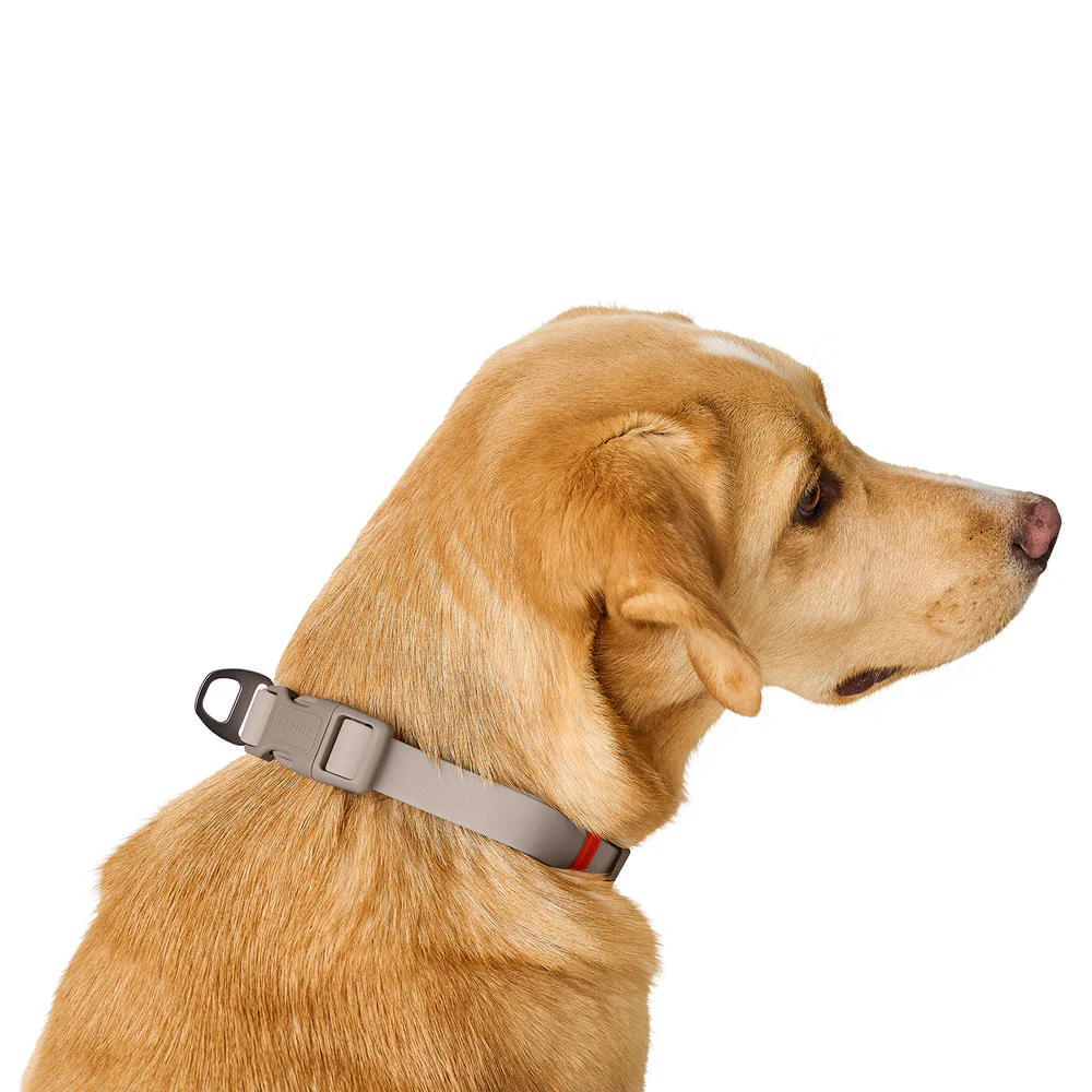 Afbeelding Hunter Collar Havanna Basic – Greige