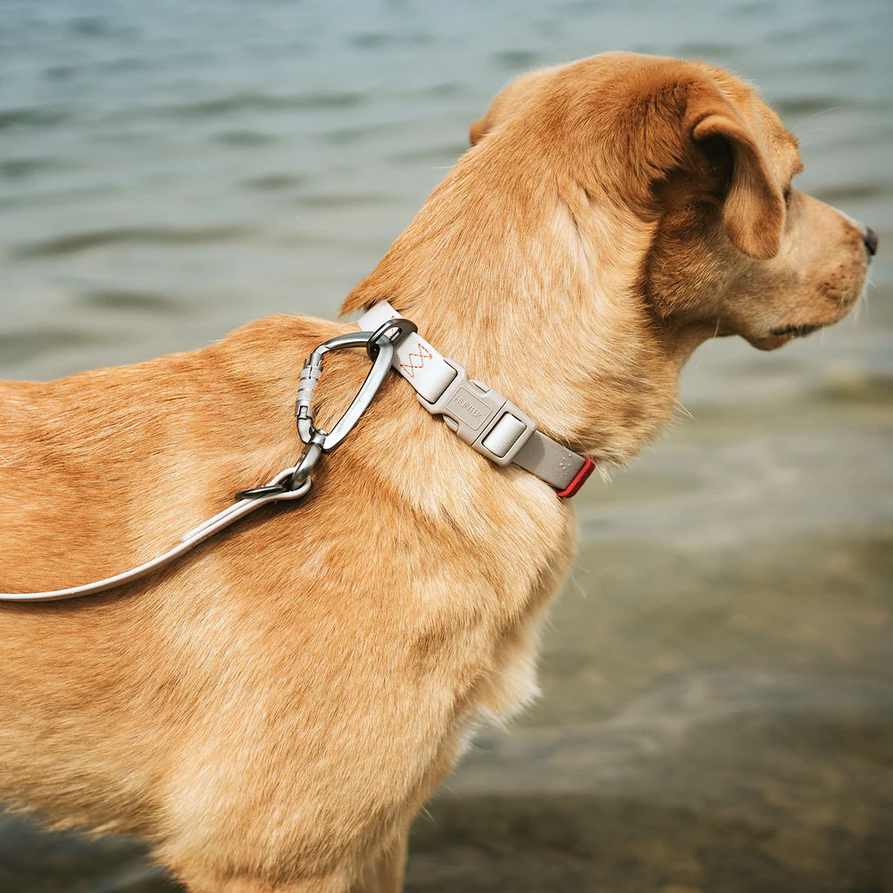 Afbeelding Hunter Collar Havanna Basic – Greige