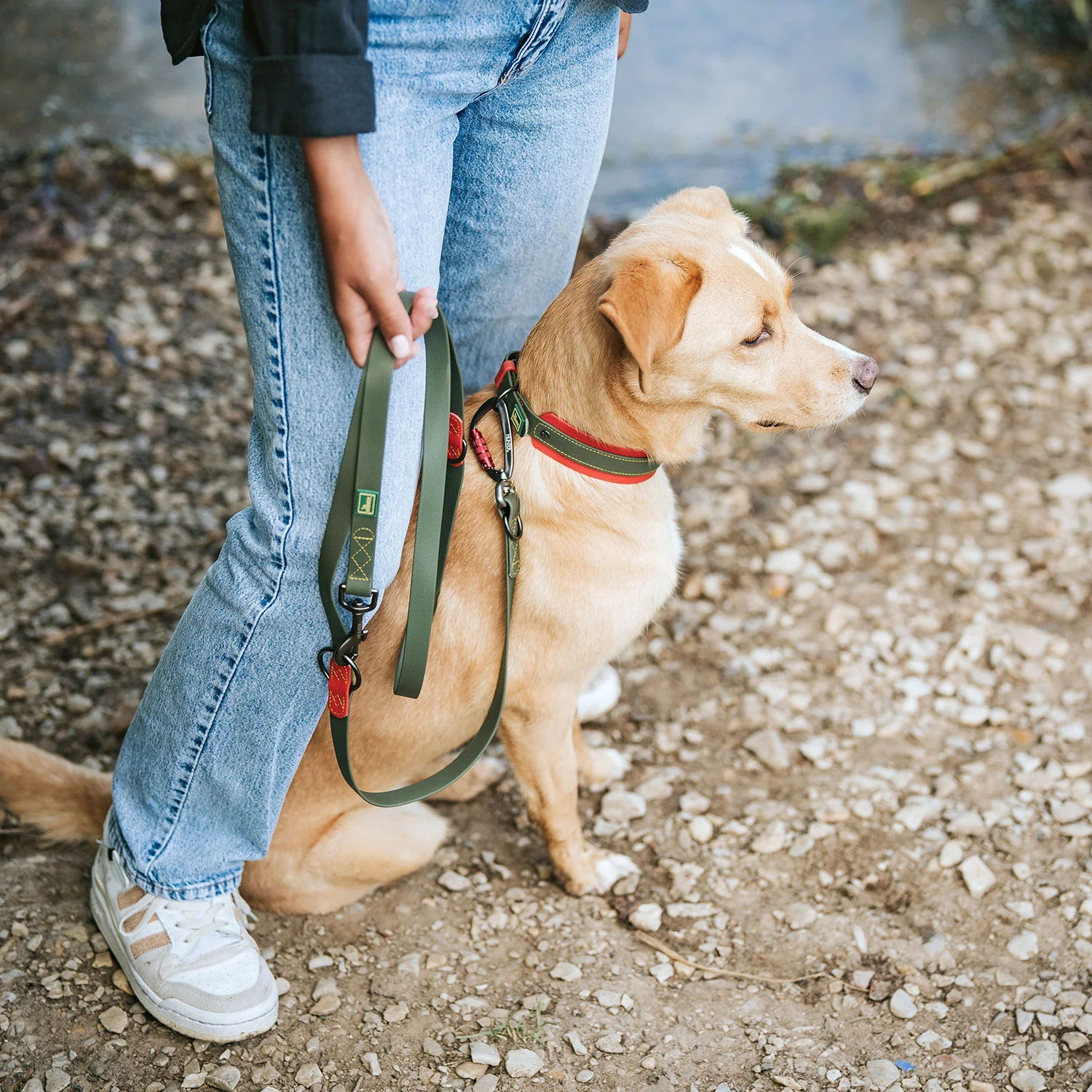 Afbeelding Hunter T-Leash Havanna Plastic Green/Orange Met karabijnhaak