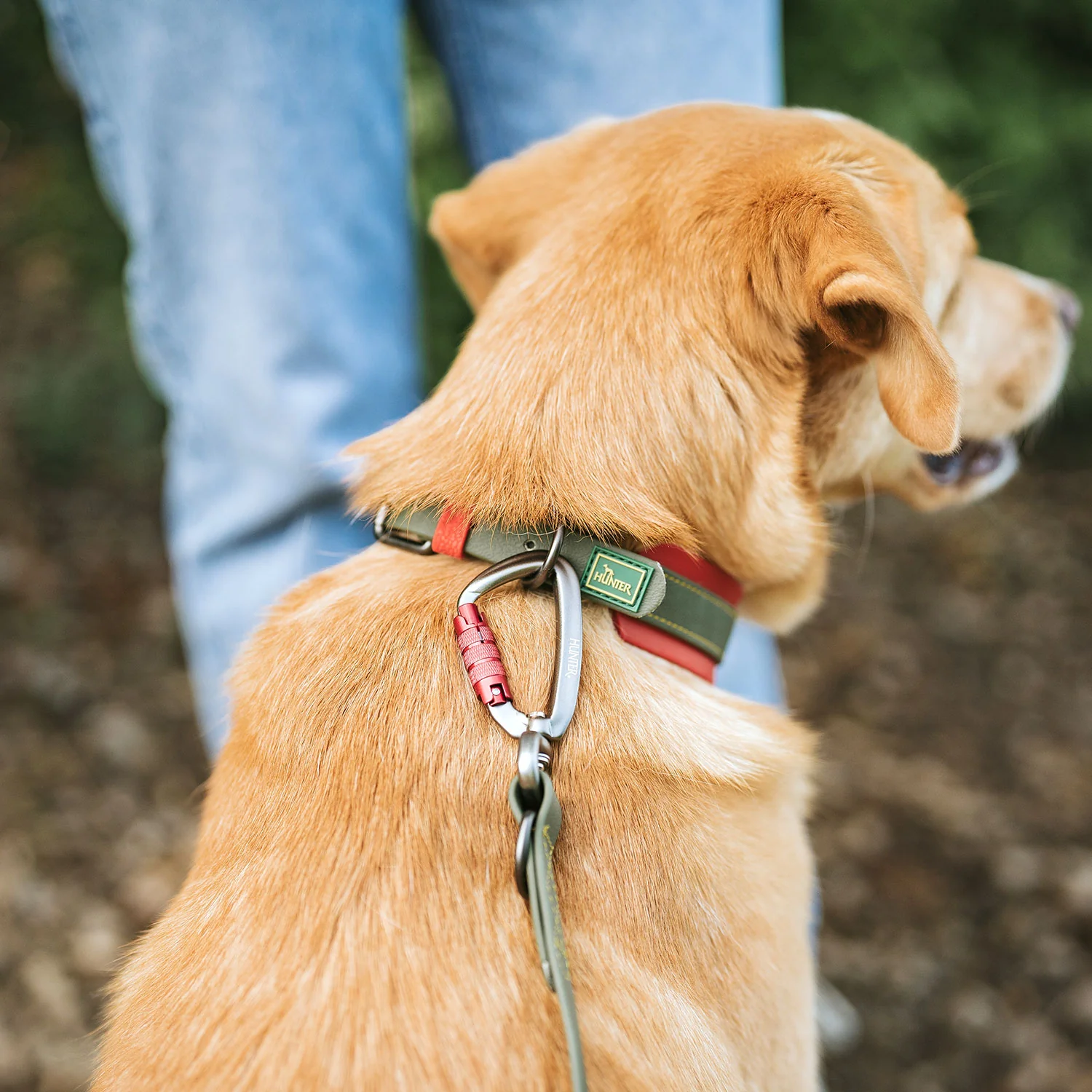 Afbeelding Hunter T-Leash Havanna Plastic Green/Orange Met karabijnhaak