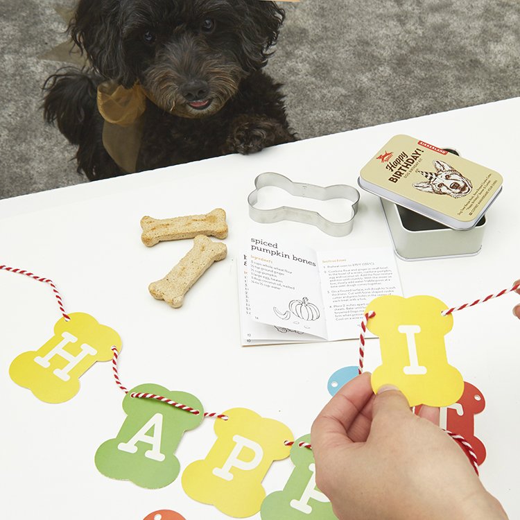 Afbeelding Kikkerland – Dog Birthday Kit