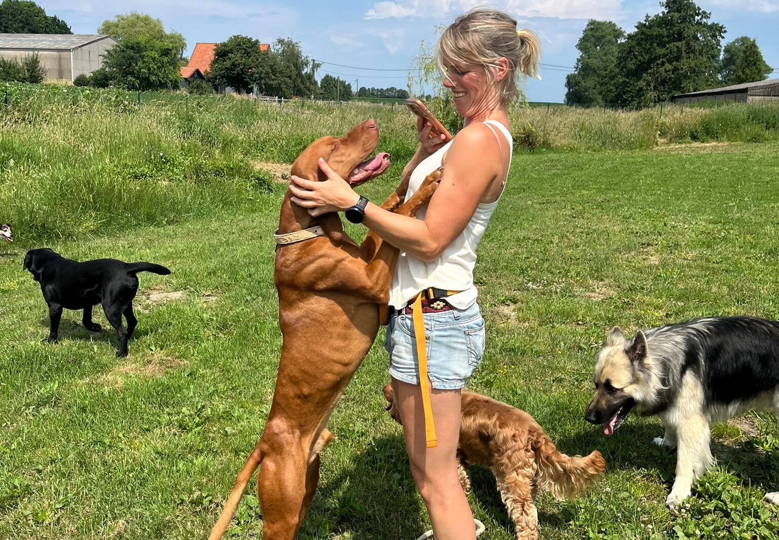 Helena op de speelweide van Hof Daalder met honden