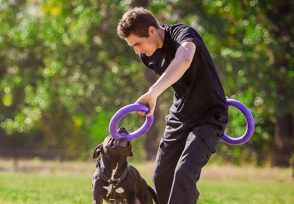 Puller Dog Fitness Tool