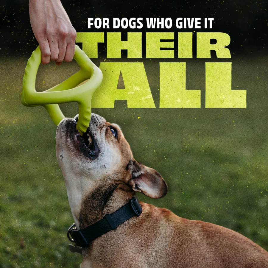 Afbeelding Benebone Rubber Toys Bounce Tug Groen