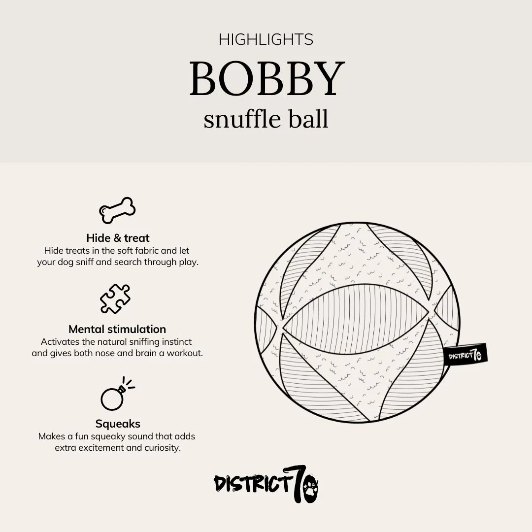 Afbeelding District 70 Bobby Snuffle Ball- Pink