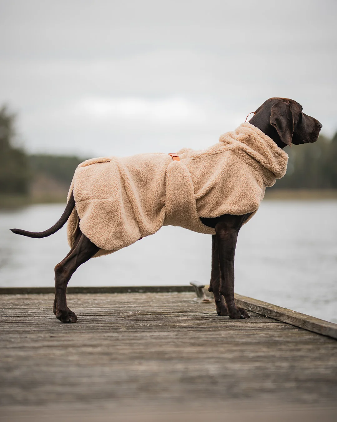 Afbeelding *Paikka Sherpa Shirt Taupe