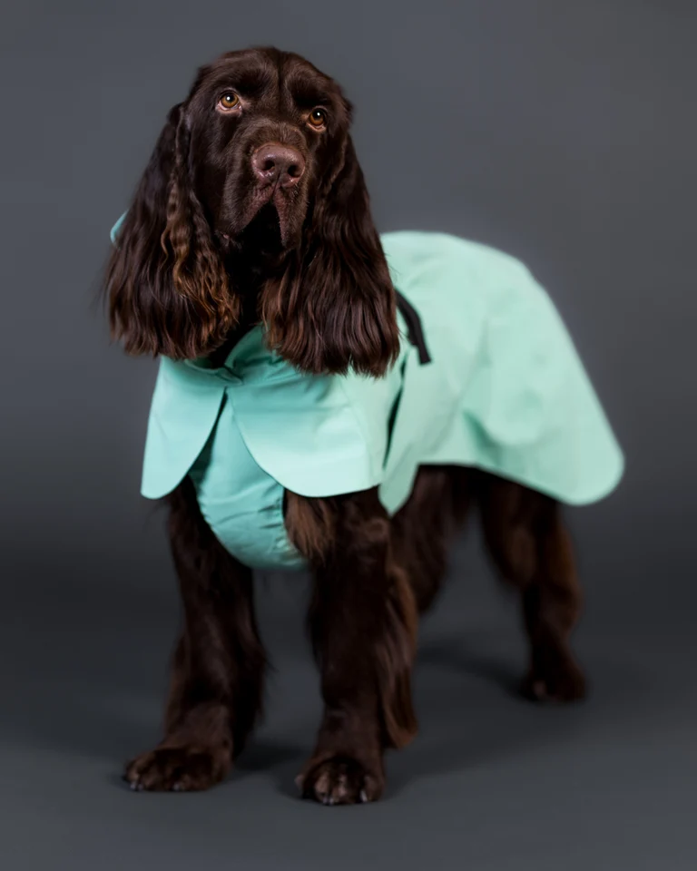 Afbeelding *Paikka Visibility Raincoat Lite Cabbage