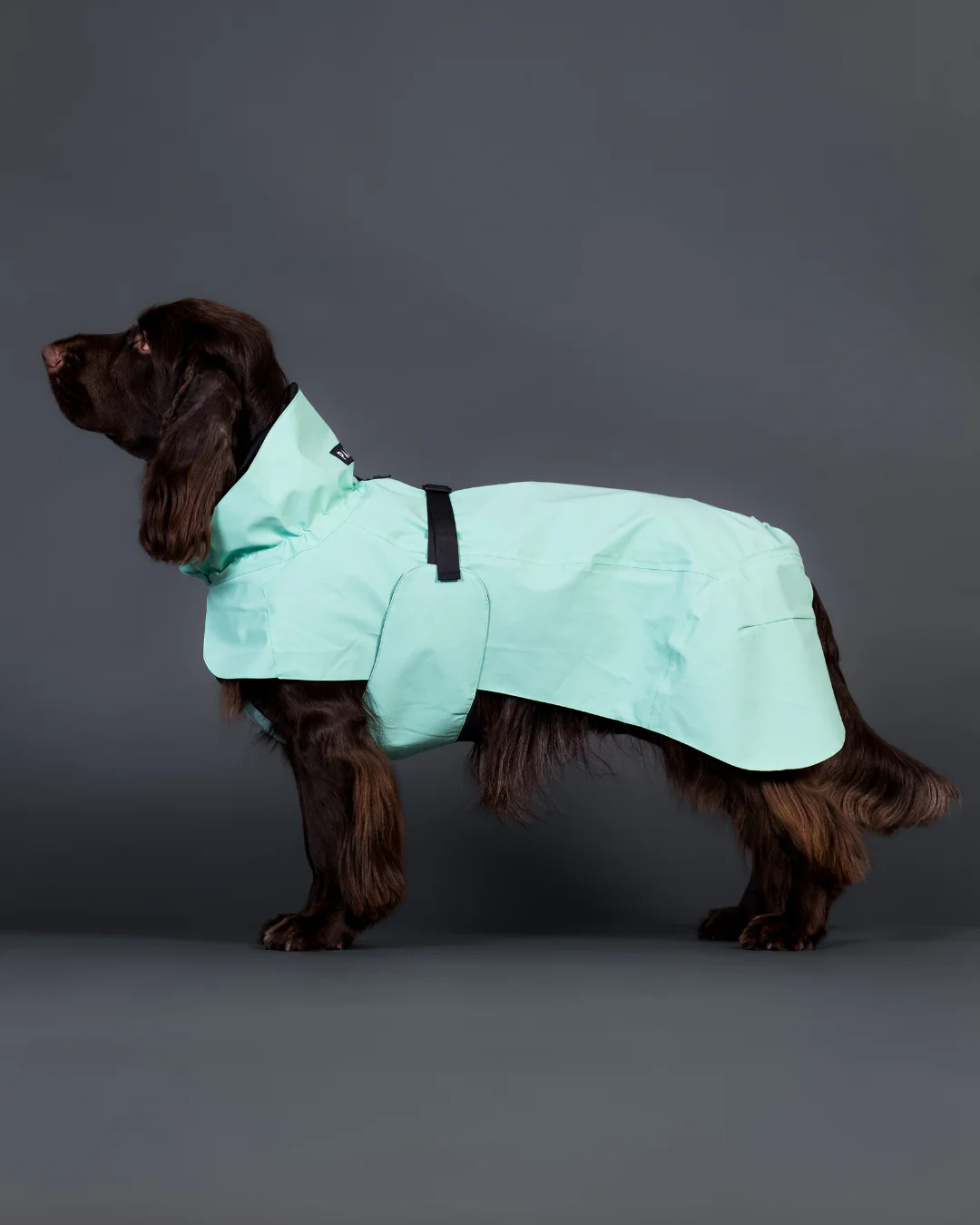 Afbeelding *Paikka Visibility Raincoat Lite Cabbage