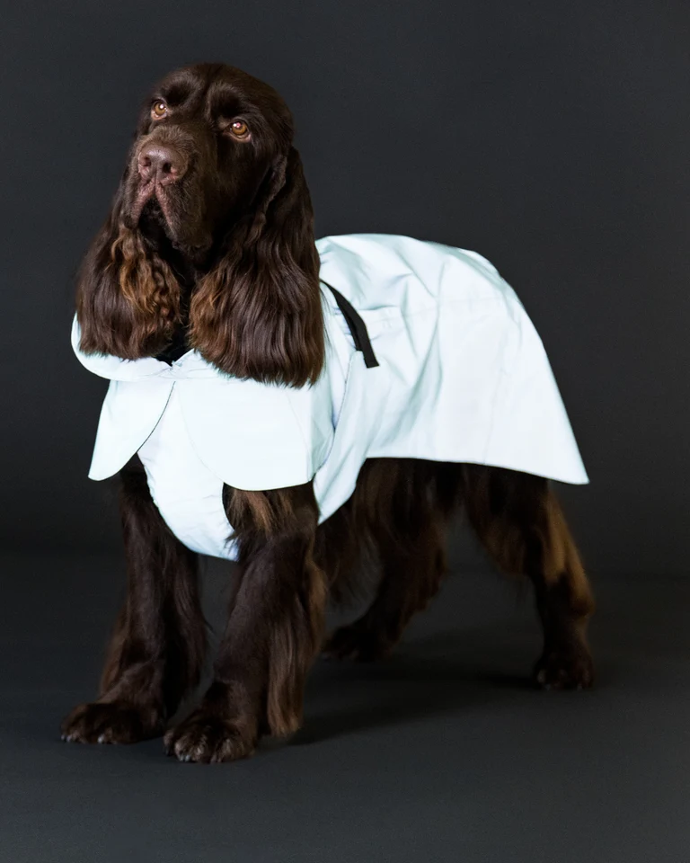 Afbeelding *Paikka Visibility Raincoat Lite Cabbage